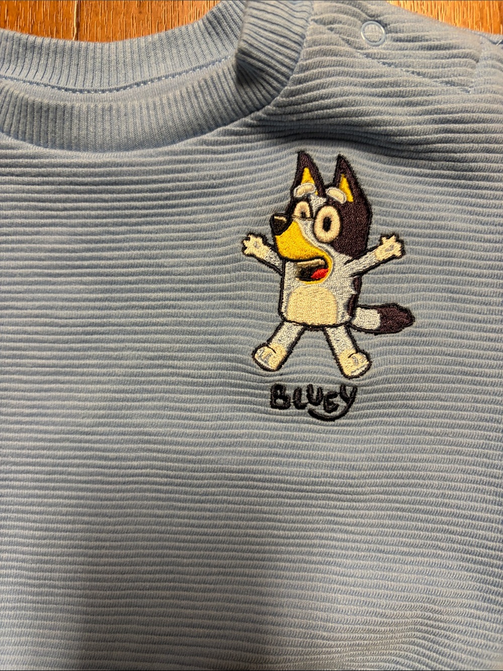 Bluey Blue Ribbed Kids Jogger Set Embroidery On Top And Bottom Size 3-6 Months - Picture 2 of 7